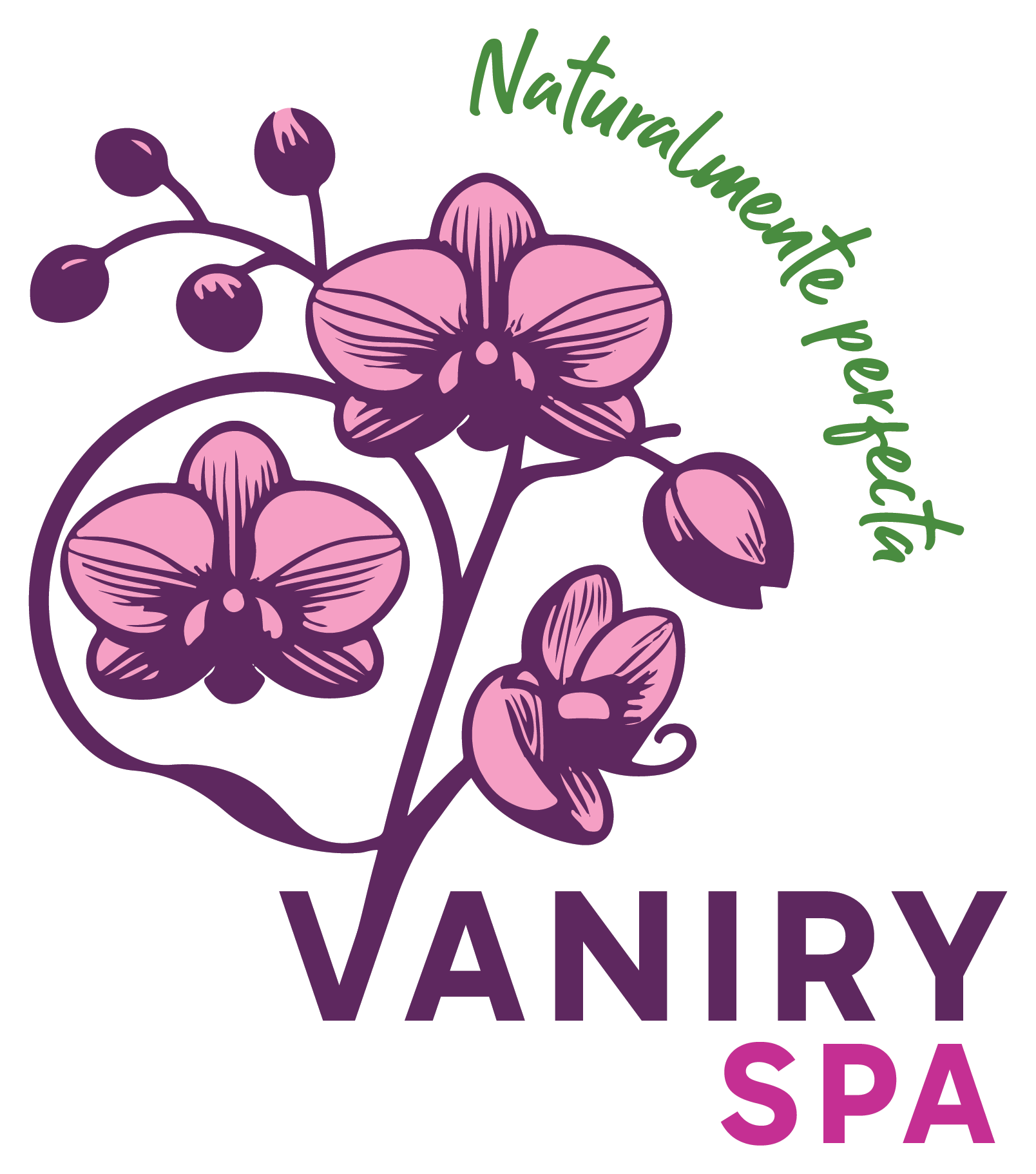 Logo VANIRYSPA